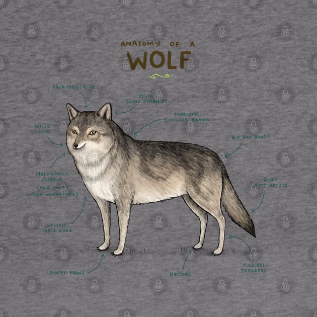 Anatomy of a Wolf by Sophie Corrigan